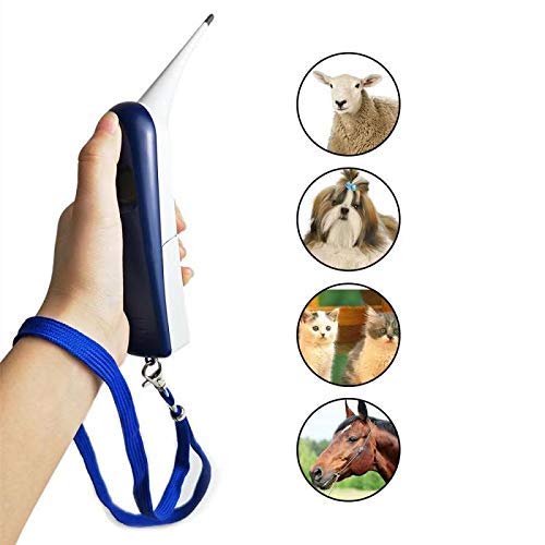 Pet Thermometer Dog Thermometer, Fast Digital Veterinary Thermometer, Pet Thermometer for Dogs, Cats, Horse,Cattle, Pigs,Birds, Sheep.C/F Switchable (Blue) - color: blue