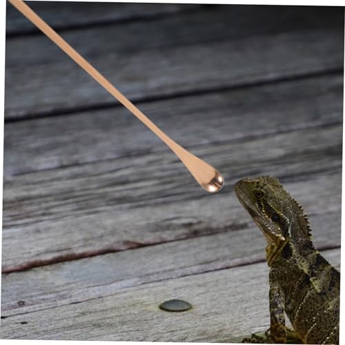 Toddmomy 2pcs Reptile Feeding Spoon Lizard Gecko Pet Feeder Tool Small Animal Food Scoop - color: Rose Gold