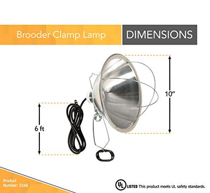 Woods Clamp Lamp with 10 Inch Reflector and Bulb Guard (300 Watt Bulb, 6 Foot Cord)