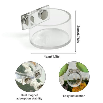 Jumping Spider Feeding Dish Set, Magnetic Water Bowl, Reptile Feeding Tongs, Jumping Spider Enclosure Accessories