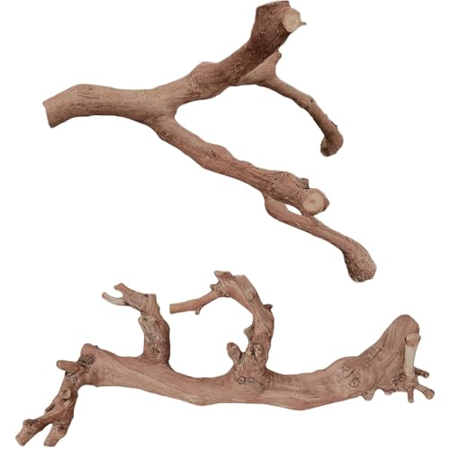BNOSDM 2PCS Reptile Wood Branches Decor,Lizard Habitat Natural Wood Decoration,Snake Climbing Branch Accessories,Terrarium Tree Trunk Ornament for Bearded Dragon Gecko Frog Chameleon Spider - color: 2Pcs 12in Reptile Wood Branches