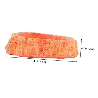 POPETPOP Reptile Feeder Bowl Thickened Design Lizard Food Tray Turtle Feeder Skid-Resistant Easy- Pet Food Container