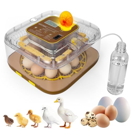 Series IV - 12-Egg Fully Automatic Incubator, Low Maintenance, Sensor-Based Precise Humidity & Temp Control, Custom-Interval Auto Turn & Auto Stop, Preset Incubation Days, Candler, Alarms - size: New 12-Egg Brown