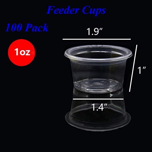 Small Gecko Food and Water Cups Plastic Feeder Cups, 100 Pack Feeding Bowls for Gecko Lizard and Other Small Pet, Capacity 1 oz
