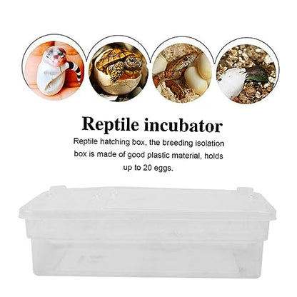 20grids Egg Incubator for Reptiles Hatching Box Incubator Reptile Breeding Box Visible Design