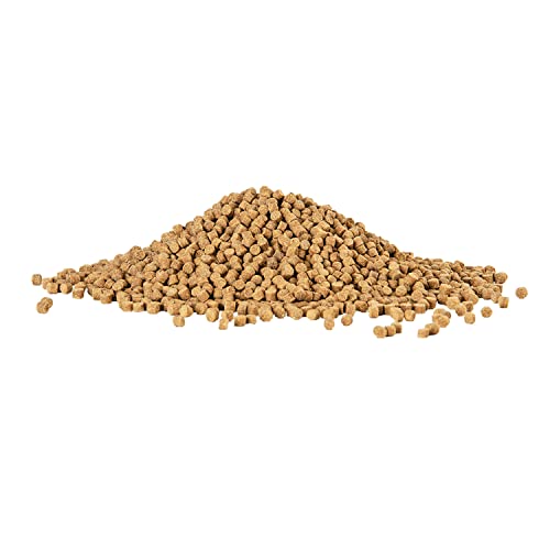 Aqueon Shrimp Pellets Sinking Food for Tropical Fish, Goldfish, Loaches, Catfish and Other Bottom Feeding Fish, 6.5 oz | For tropical fish, goldfish, loaches, catfish and other bottom feeders - size: 6.5 Ounce (Pack of 1)