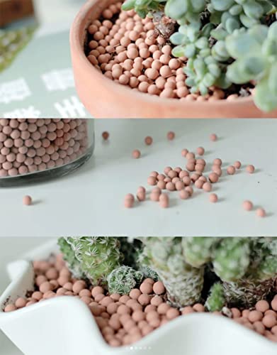 2.0 LB Clay Pebbles, 1/8'' Gardening Ceramsites Growing Media for Succulents Orchids, Aquaponics, Aquaculture Hydroponics. Ceramsite Clay Rocks Decor Cultivation, Leca for Plants - size: 2.0 LB