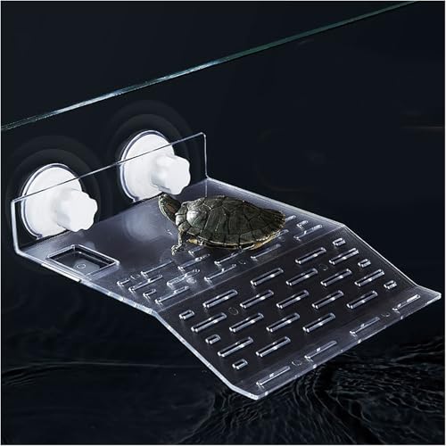 RLECS Reptile Habitat Platform 25x20x0.3cm Acrylic Suction Cup Transparent Dock Floating Decoration Pet Supplies Suitable for Aquariums
