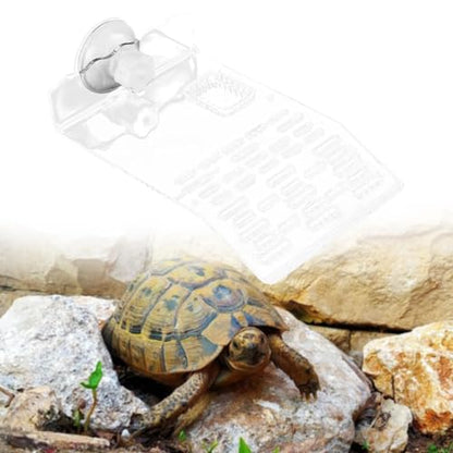 Reptile Resting Platform for Turtles with Suction Base for Aquatic Environments, Clear M - color: Clear M