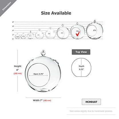 WGVI WGV Hanging Terrarium Globe, Width 7", Height 8", DIY Air Succulent Planter, Clear Glass Vase Orb with Flat Bottom, Candle Holder for Windowsill Outdoor Garden Decor, 1 Piece - size: 7" Flat Bottom