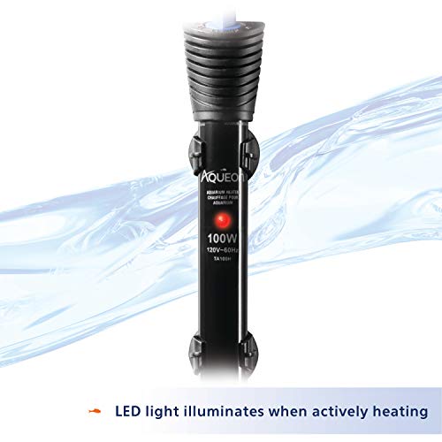 Aqueon Submersible Aquarium Heater, 100 Watts, Up to 40 Gallons - size: 100 Watts, Up to 40 Gallons