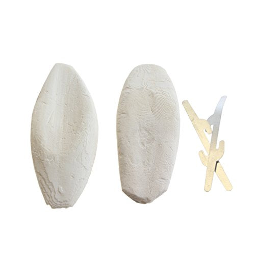 emours Natural Cuttlefish Bone for Reptiles, Tortoises, Snails, Birds and Small Animals, 4-5 inch, Twin Pack - size: 4-5 Inch (Pack of 2)