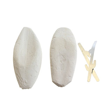 emours Natural Cuttlefish Bone for Reptiles, Tortoises, Snails, Birds and Small Animals, 4-5 inch, Twin Pack - size: 4-5 Inch (Pack of 2)