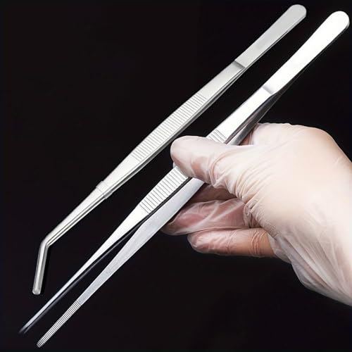 Stainless Steel Reptile Feeding Tongs Tweezers for Aquarium, Terrarium & Crafts Bearded Dragon Snake Tank Accessories, Planted Tank Tools Feeder for Lizards-5.51 Inches Curved