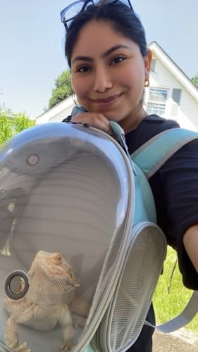 Bearded Dragon Backpack Carrier,Reptile Portable Backpack Carrier with Small Backpack Harness Leash Set,Space Capsule Clear Bubble Window Travel Backpack for Lizard Travel,Guinea Pig,Rabbit - color: Blue