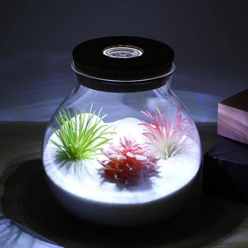 Glass Terrarium Jar with Led Light, Closed Terrarium Jar with Lid for Moss, Succulents and Betta Fish Tank, Large Clear Round Desk Plant Container Ecosystem for Home & Office Decor (no Plants) - size: 14.00X13.00X13.00CM