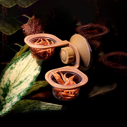 Bearded Feeding Food Water Bowl Worm Dish Suction Cup Feeder Supplies for Small Reptiles Feeder Tongs Live Dish Escape Bowl Automatic Cups Box