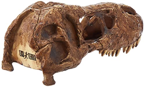 Exo Terra T-Rex Skull Terrarium Decor - style: Modern