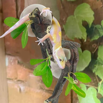 PINVNBY 2 PCS Reptile Corner Branch Terrarium Plant Decoration Branches for Reptiles with Suction Cup for Amphibian Lizard Snake Climbing Ornament