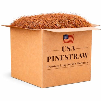 Long Needle Pine Straw Mulch - 240 Sqft Coverage 1 Set - Premium USA Harvested PineStraw for Landscaping, Weed Control, Moisture Retention & Erosion Control - USA Pinestraw - size: Long Needle - 240 Sqft - New Bigger Box 1 set