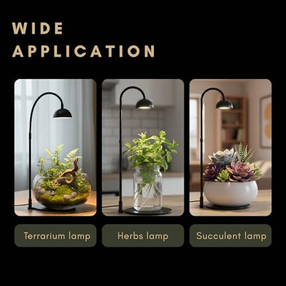 Desktop Grow Lamp Terrarium Light Plant Light on Table with Flexible Gooseneck Lamp for Terrarium Kitchen Vetegable Succulent Lamp with Auto Timer 3/6/12Hrs, 4 Brightness Levels (Black) - color: Black