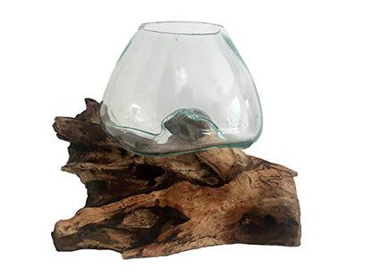 OMA Molten Glass on Driftwood – Hand Blown Vase, Terrarium, or Planter Centerpiece for Coastal & Boho Home Décor (7" – 9" High) - size: 7" - 9" High