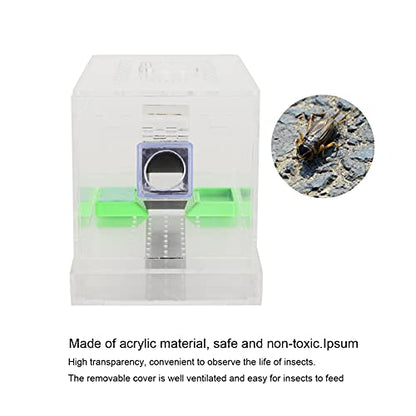 Acrylic Feeding Cricket, Pen with Tubes Cockroach Cricket Keeper Small Crickets Keepers Care Kit Reptile Boxl (S, 50X50X20Cm / 19.7X19.7X7.9In)