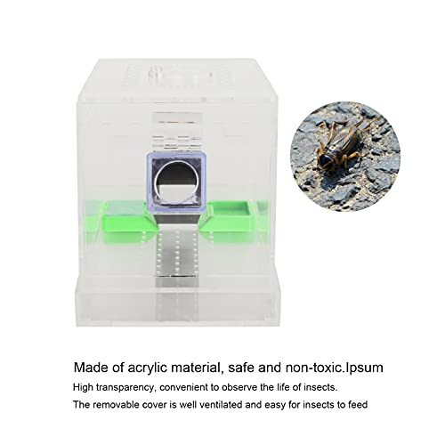 Acrylic Feeding Cricket Keeper, Cricket Keeper with Feces Layer Acrylic with Tubes for Observation of Breeding(S)