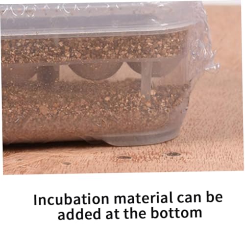 Reptile Incubation Box Reptile Incubator Egg Tray Hatching Box with 12 Grids for Turtle Gecko Lizards Mane
