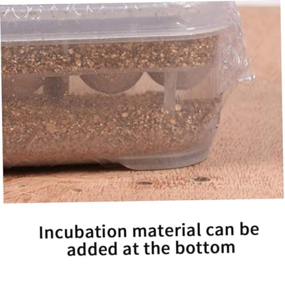 Reptile Incubation Box Reptile Incubator Egg Tray Hatching Box with 12 Grids for Turtle Gecko Lizards Mane
