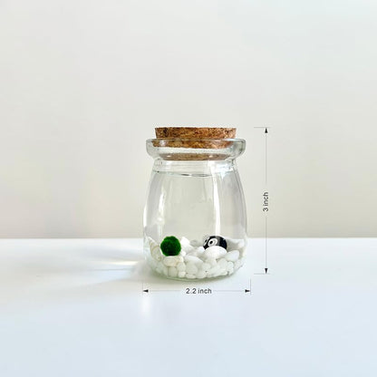 Moss Pet Glass Terrarium Jar Kit with Cork Lid, Mini Desktop Moss Plant Aquarium Decor, Home Ornament Gift