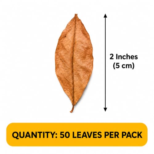 SunGrow Dwarf Frog Mini Catappa Leaves (50 Pc) - Tannin Helps Remove Ammonia, Lower pH - Leaf Litter Indian Almond Leaves, Aquarium Water Treatment, Decor Accessories