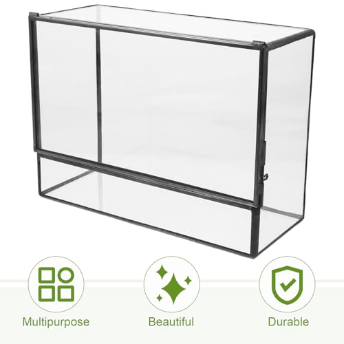 Happyyami Glass Terrarium Micro Landscape Container for Indoor Desktop Ecosystem Moss Planter Small Geometric Glass Holder 145x80x195mm Suitable for Succulent and Moss Gardening