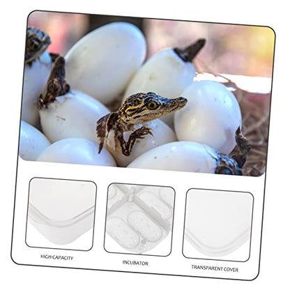 BESPORTBLE 14 Egg Capacity Reptile Lizard Box Suspended Incubation Practical Breeding Isolator