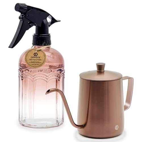 Watering Can for Indoor Plants Long Spout Metal Stainless Steel 21 oz Small Watering Can with 14 oz Glass Plant Mister Spray Bottle for Plants Bonsai - color: Rose Gold Watering Can+tawny Clear Spray Bottle