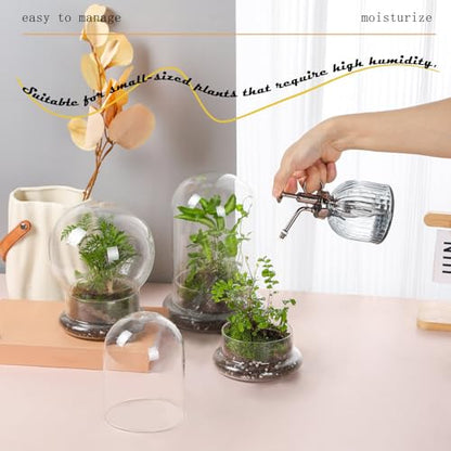 WHJY Round Glass Cloche for Indoor Plants Small Terrarium Glass Cloche with Base Mini Cloche Dome with Base for Display Home Decor - size: 6.7"