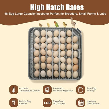 Nest IV - 48 Egg Incubator for Breeders, Fully Automated, Accurate Humidity & Temp Control, Chick Separator, Flexible Egg Spacing, Custom Incubation Days, Auto Turning & Auto Stop, Easy Monitoring - size: 48 Egg [Black]