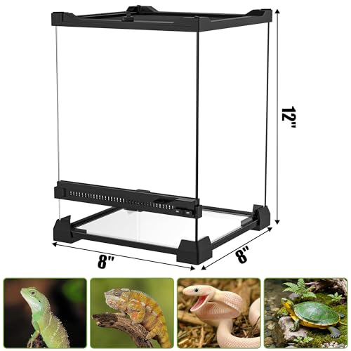 8" x 8" x 12" Mini Vertical Glass Reptile Terrarium | Front Opening & Fully Assembled Enclosure Tank for Crested Geckos, Tree Frogs, Tarantulas, Jumping Spiders & Tiny Reptiles - size: 8" x 8" x 12"