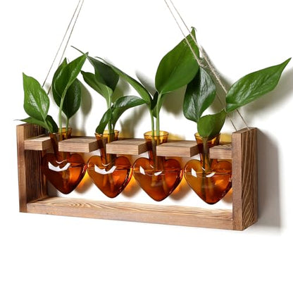 Plant Propagation Stations Heart Plant Terrarium Kit | Gift for Women Plant Lover Glass Vases - color: Amber