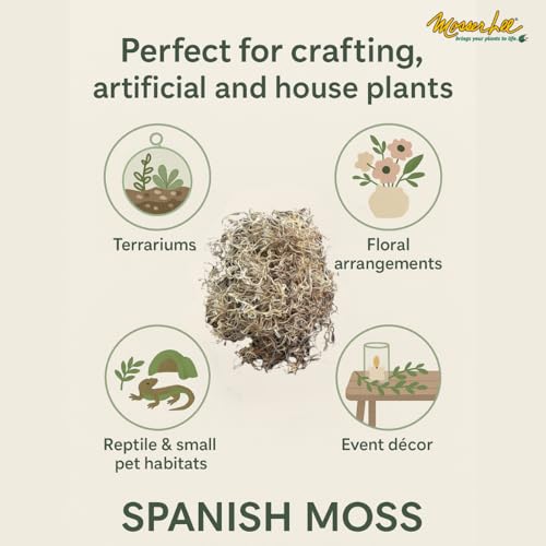 Mosser Lee Spanish Moss – Natural Decorative Moss for Houseplants, Soil Cover, Crafts, Terrariums & Floral Arrangements - 400 Cubic Inches (Approx 9oz) - size: 400 Cubic Inches