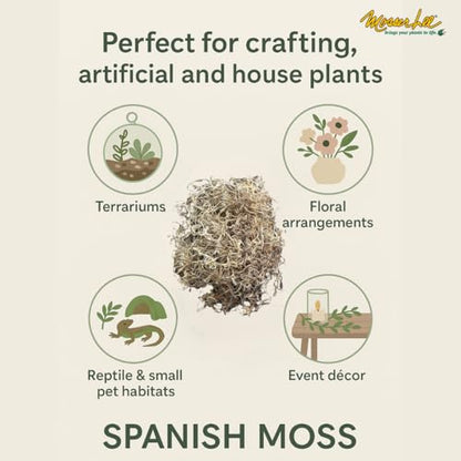 Mosser Lee Spanish Moss – Natural Decorative Moss for Houseplants, Soil Cover, Crafts, Terrariums & Floral Arrangements - 400 Cubic Inches (Approx 9oz) - size: 400 Cubic Inches
