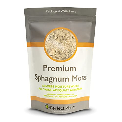 Perfect Plants Premium Sphagnum Moss in 2qt. Resealable Bag | Long fibered Sustainably Harvested Moss | for All Orchid Varieties