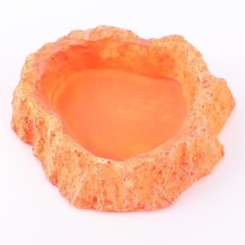 Reptile Feeding Bowl with Skid-Resistant Base, Simulation Food and Water Dish for Lizards and Turtles, Sturdy Plastic Terrarium Feeder for Crawling Pets and Amphibians