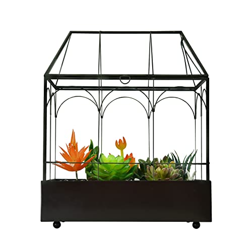 Large Tall Glass Plant Terrarium – House Succulent Terrarium Kit with Lip and Tray Glass Greenhouse Terrarium for Plant 9.5”X5.7”X11.4” - color: Black 3