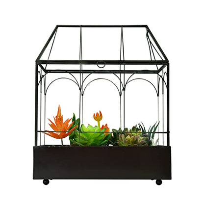 Large Tall Glass Plant Terrarium – House Succulent Terrarium Kit with Lip and Tray Glass Greenhouse Terrarium for Plant 9.5”X5.7”X11.4” - color: Black 3