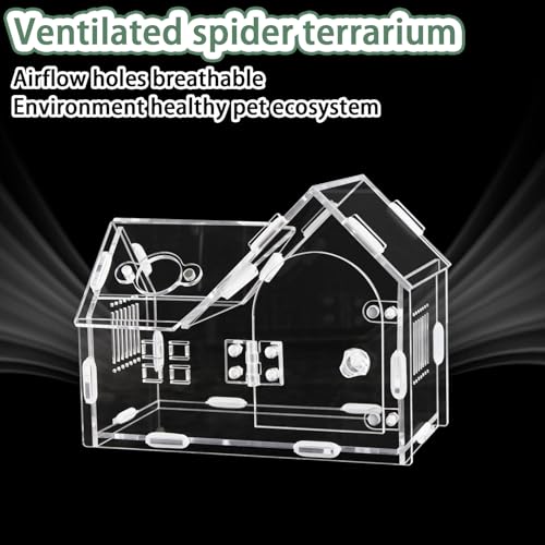 Acrylic Jumping Spider Enclosure House-Shaped Terrarium | Magnetic front door lock, top sliding feeding port, 1mm ventilation holes, scratch-resistant clear acrylic - color: transparent