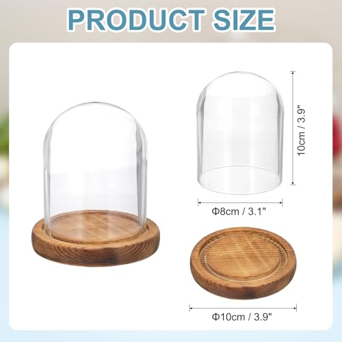 uxcell Glass Cloche Display Dome, 3.9" x 3.1" Glass Dome Display Case, Wood - size: 3.9" x 3.1"