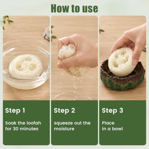 Cockroach Water Basin with 4 Loofah Set, Dubia Roach Water Dish, Dubia Roach Container for Roaches, Mealworms, Crickets, Isopods