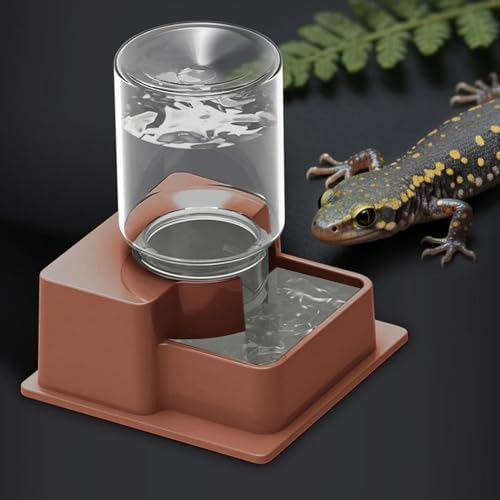 Bearded Dragon Water Bowl, Self Dispensing Fountain for Terrarium with Constant Supply, Reservoir Basin Unit, Home Garden Yard Outdoor Habitat Decor for Chameleon Iguana Frog Medium - size: Medium