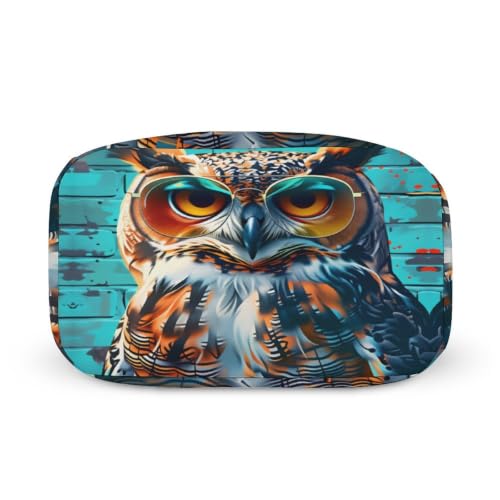 Funny Owl with Sunglasses Lunch Bag for Women Men | Insulated Lunch Box Leakproof Food Meal Containers Reusable Foldable 6L Capacity Lunch Tote Bags for Work Picnic Travel - color: Style 6